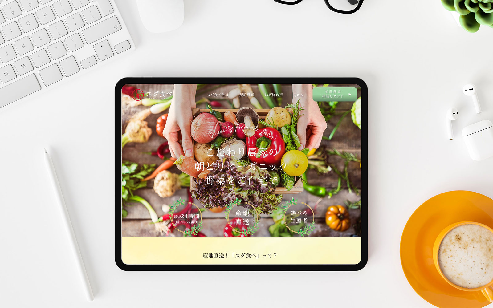 実績詳細トップ